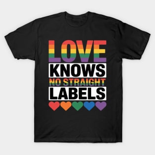 Love Knows No Straight Labels LGBT Gay Ally Queer Pride T-Shirt